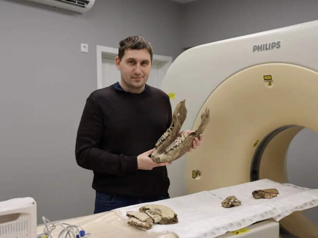 Сибирские ученые впервые исследовали челюсти шерстистого носорога на компьютерном томографе