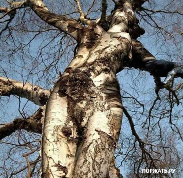 Позитивная фотоподборка (25 фоток)