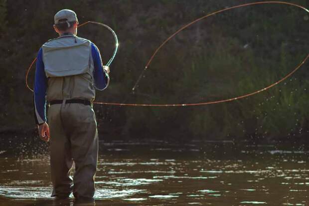 A man fly fishes for Salmon in a freshwater river with his back to the camera and his line out