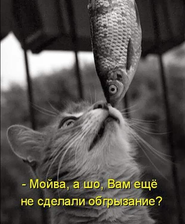 a576a3743cdc2576e957c0c1e58