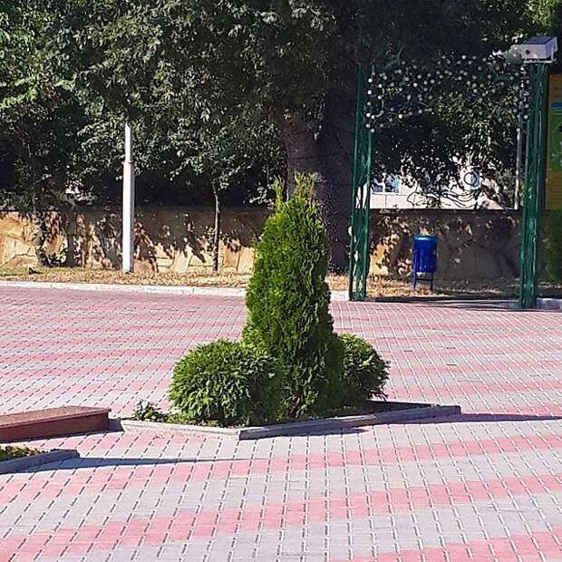 Необычные фотографии, которые помогут определить вашу стадию испорченности Необычные фотографии, которые помогут определить вашу стадию испорченности