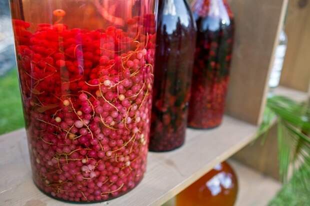 Tincture bottles of lemon, currant, berries and rowanberries. Herbal medicine.