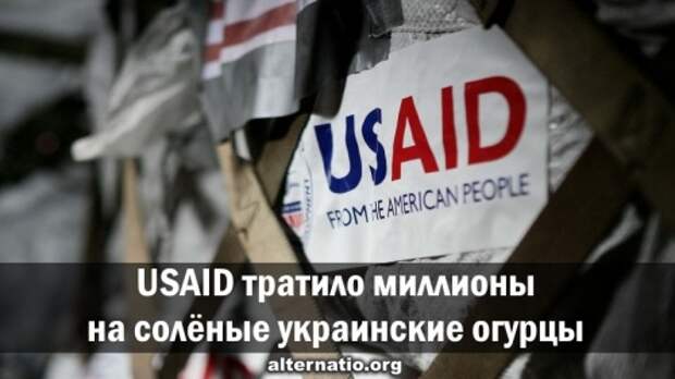 USAID тратило миллионы на солёные украинские огурцы