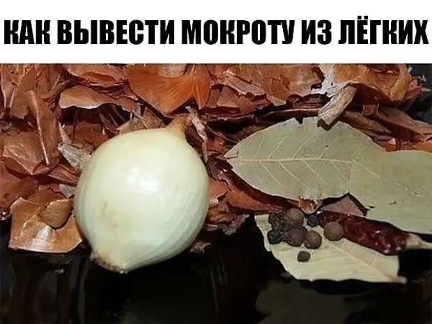 КАК ВЫВЕСТИ ВРЕДНУЮ МОКРОТУ ИЗ ЛЕГКИХ?