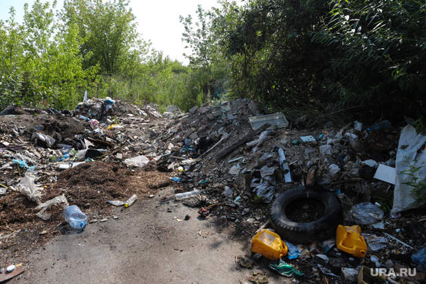 Курганским чиновникам разрешили штрафовать жителей за мусор