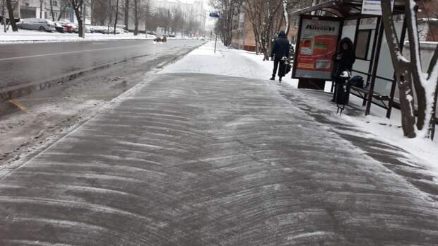лосинка alt