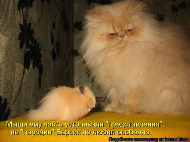 Лучшие котоматрицы недели (50 фото) Лучшие котоматрицы недели (50 фото)