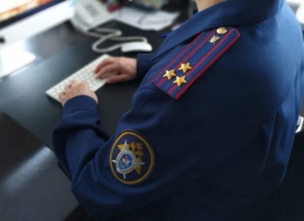 Председатель Следственного комитета России поручил доложить о ходе расследования уголовного дела по факту совершения противоправных действий в отношении жительницы Ростовской области