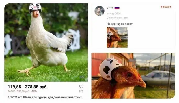 Здесь все прекрасно: и то, что существует шлем для курицы, и что кто-то купил этот девайс и, более того, попробовал примерить!