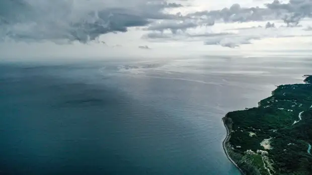 Росприроднадзор: ущерб от разлива нефти у Новороссийска составил почти 4,5 млрд рублей