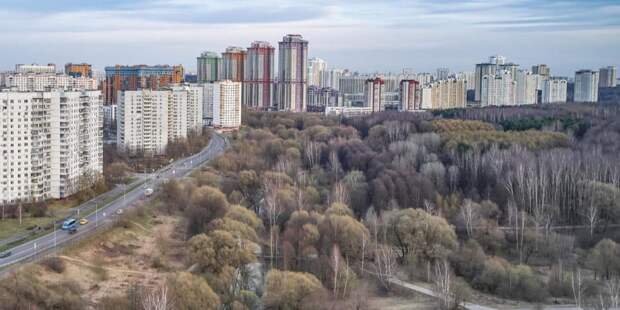 На природных территориях Москвы демонтировали более 20 незаконных строений