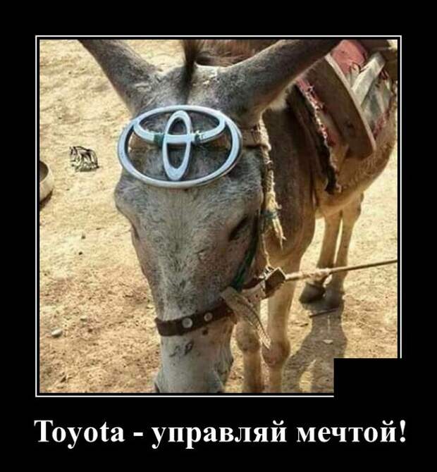 Демотиваторы (20 фото)