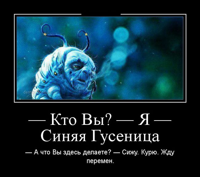 Демотиваторы (30 фото)