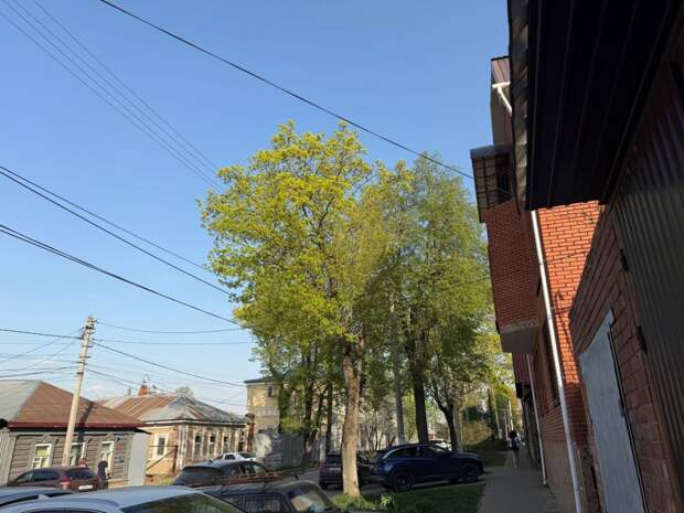 Наступают тёплые выходные в Тульской области