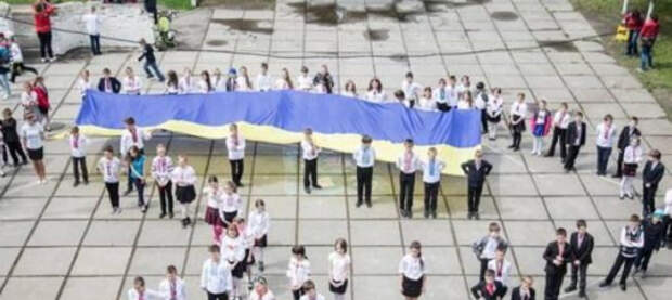 Естественный отбор: 42% украинских подростков не в состоянии осилить базовые основы математики