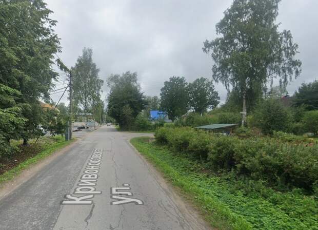 Курортный район лишится 1500 деревьев из-за стройки элитного ЖК