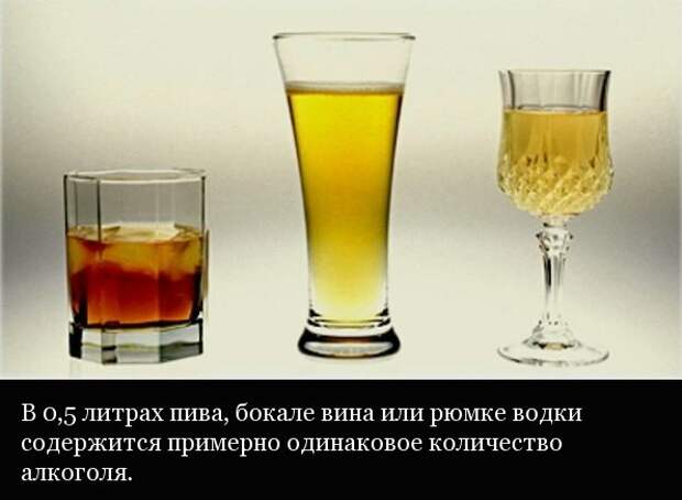 Интересные факты об алкоголе алкоголь, интересно, факты