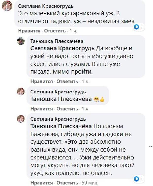 FireShot_Capture_222_-_Павлоград_и_павлоградцы_-_Facebook_-_www.facebook_.com_.jpg