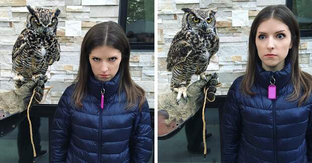 25 Funny And Adorable Pictures Of Anna Kendrick With Animals