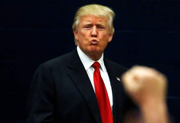 Стало известно, как Трамп хотел бы получить Гренландию