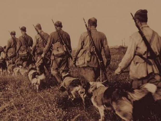 Моменты Великой Отечественной Войны война, история, фото