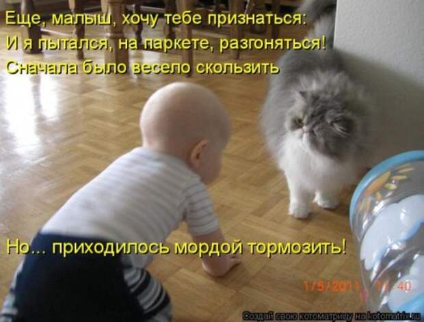 Новая котоматрица за неделю