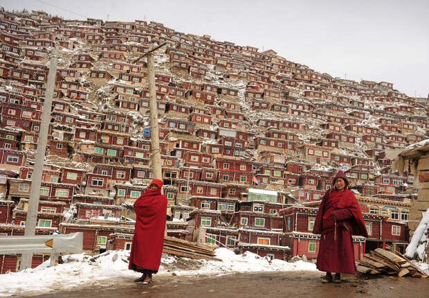 Буддийские монахи на фоне общежитий монастыря Седа
