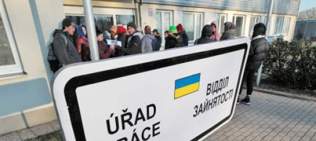 Чехия предложила ЕС ограничить приём беженцев из западных регионов Украины и мужчин