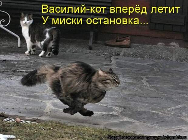 Новая и прикольная котоматрица на 22 сентября (29 фото)