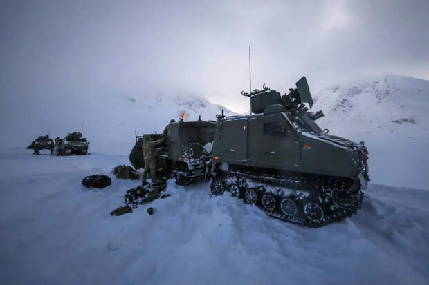 Миномётчики морской пехоты Великобритании на учениях