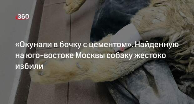 Найденного во 2-м Южнопортовом проезде Москвы пса окунали в бочку с бетоном