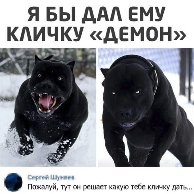 Тут он решает Тут он решает