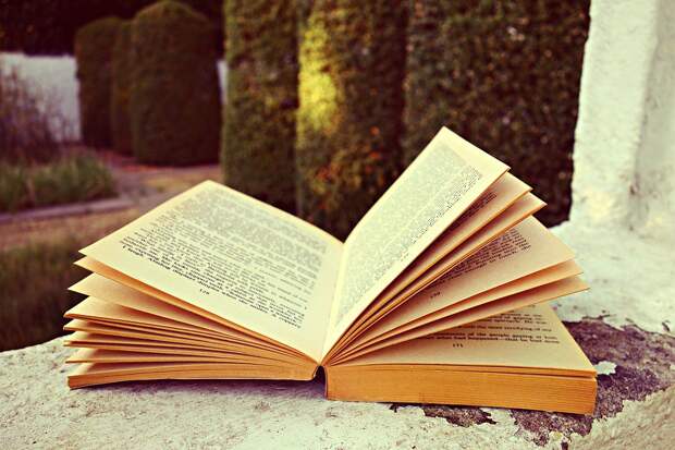 Книга. Фото: pixabay.com Книга. Фото: pixabay.com