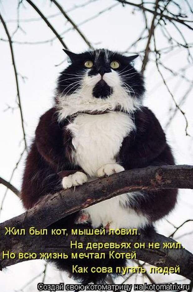 Мысли вслух :)