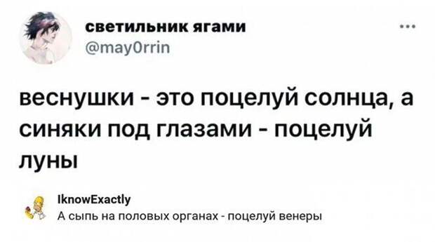 Смешные и познавательные картинки