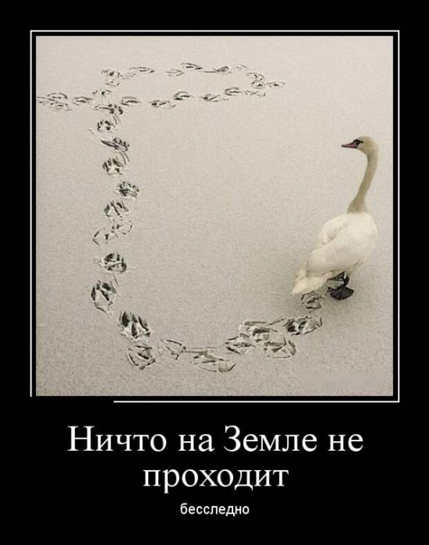 Демотиваторы (30 фото)