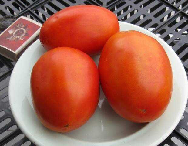 http://www.newshop.happyseeds.ru