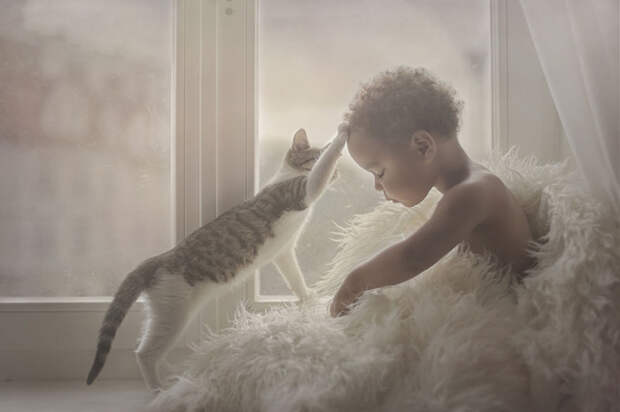 Фотографы со всего мира делают великолепные фото детей и животных от Felis Catus