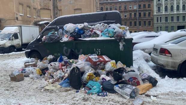 Горы отходов выросли на мусорных площадках Петербурга