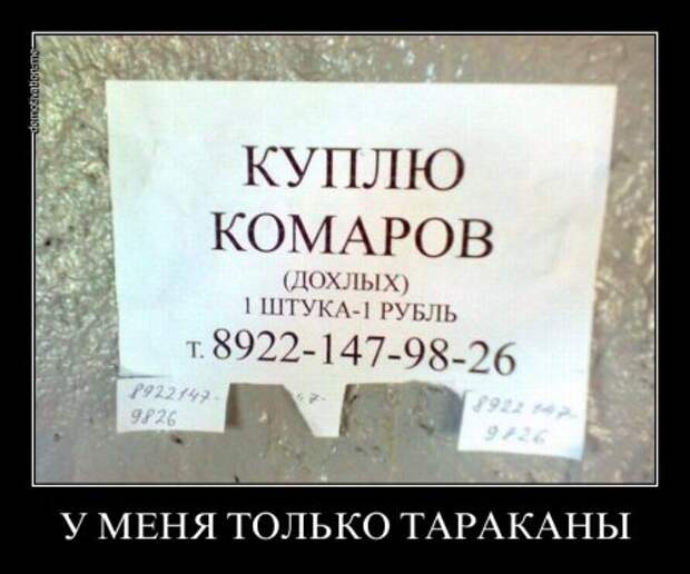 Демотиваторы это не только прикольные картинки но и ржачные фразы.