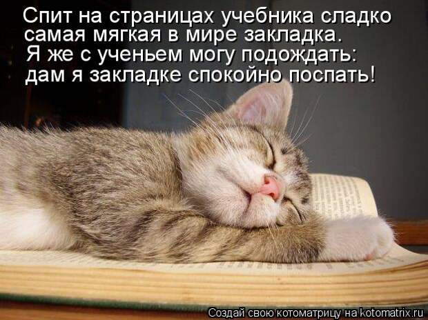 Котоматрица - Спит на страницах учебника сладко самая мягкая в мире закладка. Я же с
