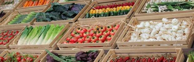 В Караганде пройдут сельхозярмарки в марте и апреле