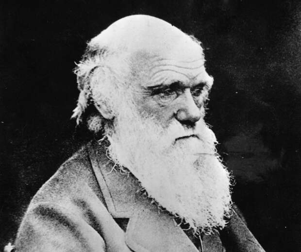 2. Чарльз Дарвин. 2. Чарльз Дарвин. известные люди, интроверты, учёные