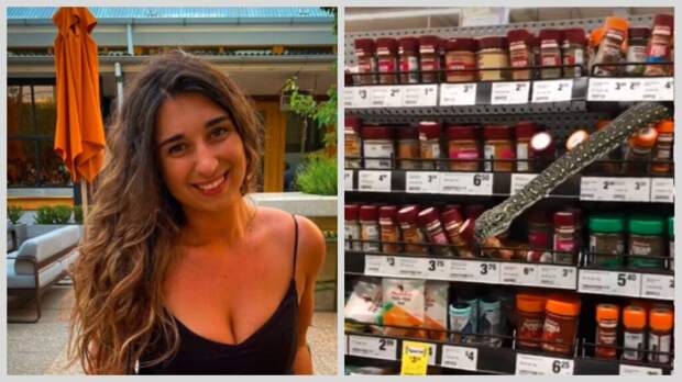 Австралийка обнаружила живого питона на полке супермаркета