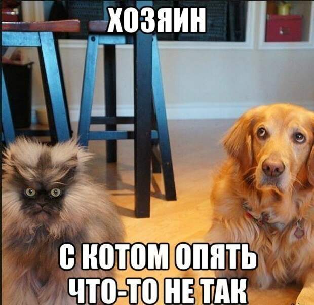 Всё в кучу 22