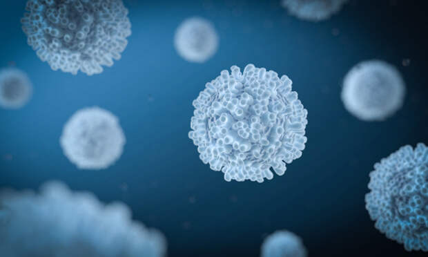 Учёные заявили, что клеточный иммунитет от простуды способен защищать от COVID-19