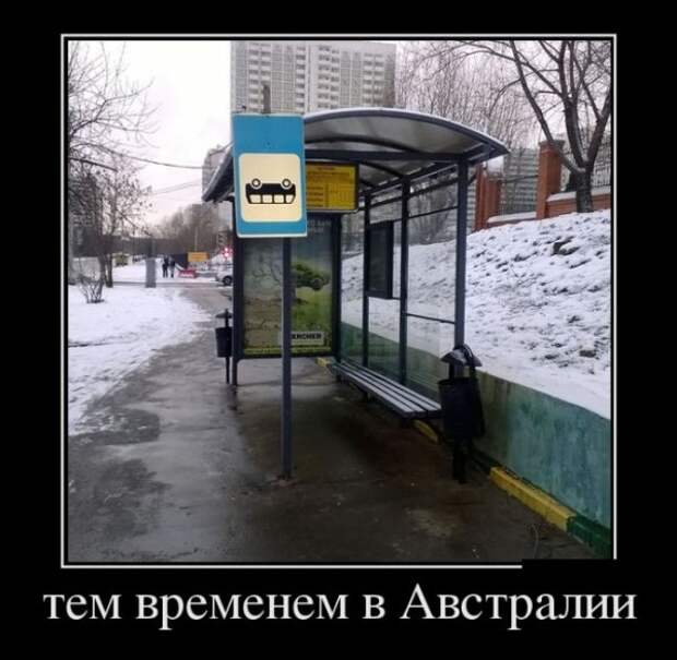 Обо всём.