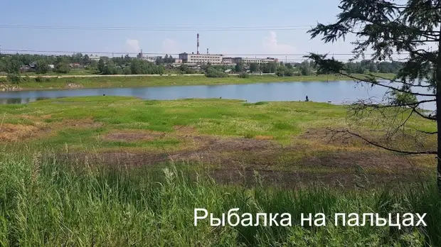 Хитрый рыбак. История на берегу