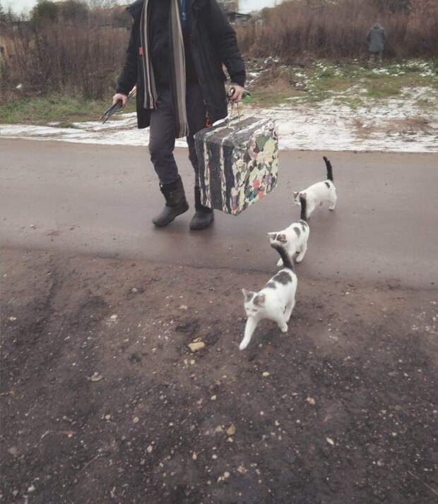 Подборка прикольных картинок