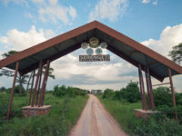 Клуб путешествий Павла Аксенова. Танзания. Entrance gate leading to Serengeti national park in Tanzania, Africa. Фото Yakov_Oskanov - Depositphotos